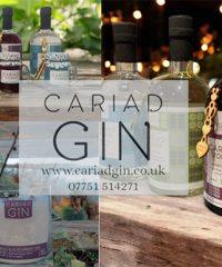 Cariad Gin