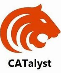 Catalyst Systems